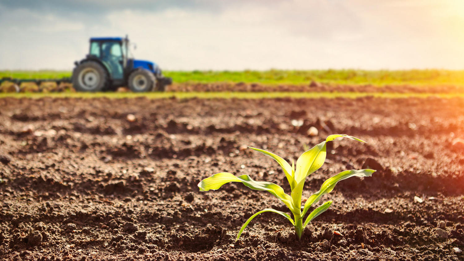 The Struggles of Indian Farmers: Socio-Economic and Environmental Issues