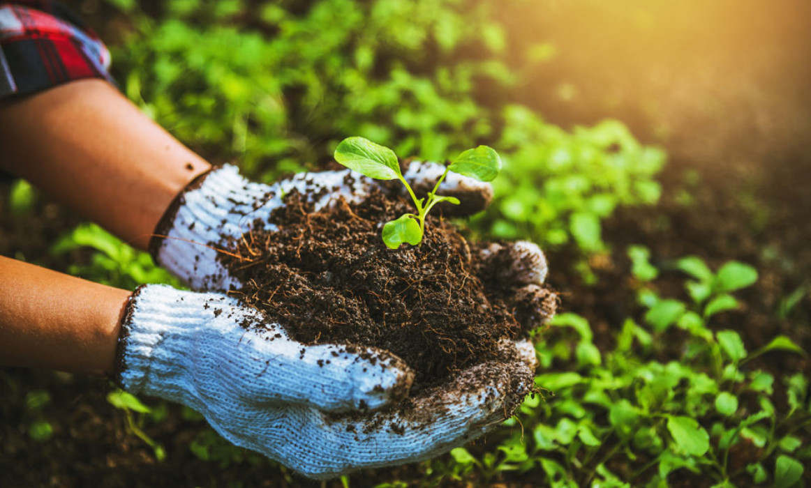 The Impact of Climate Change on Indian Agriculture